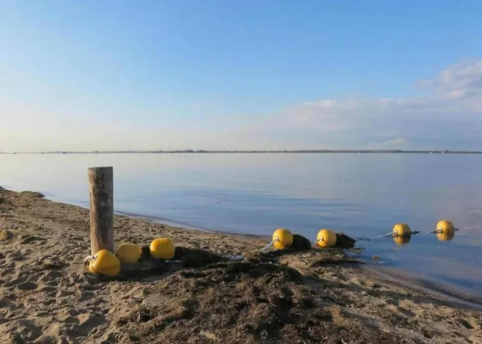 In South Holland With Private Jetty * Simonshaven