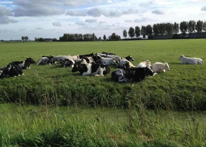 Tatil Evi In South Holland With Private Jetty