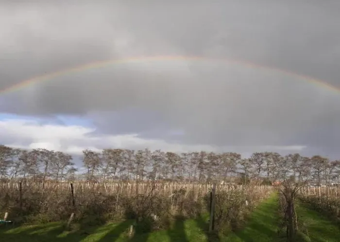 In South Holland With Private Jetty Tatil Evi *