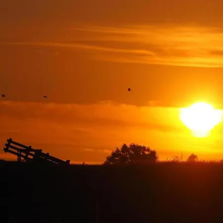 Dom wakacyjny In South Holland With Private Jetty *