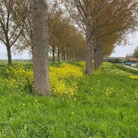 In South Holland With Private Jetty Simonshaven