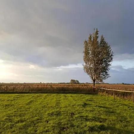 In South Holland With Private Jetty Dom wakacyjny