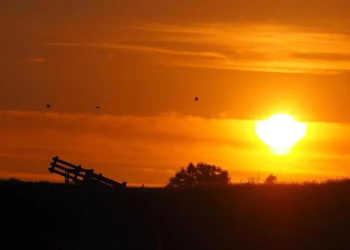 Vakantiehuis In South Holland With Private Jetty *