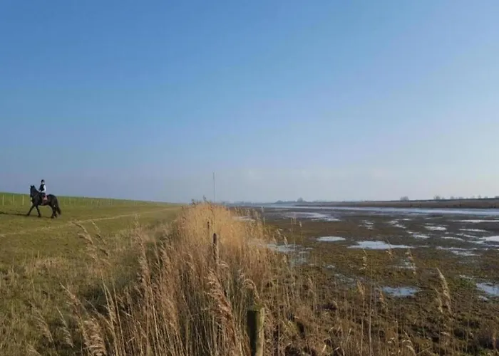 In South Holland With Private Jetty