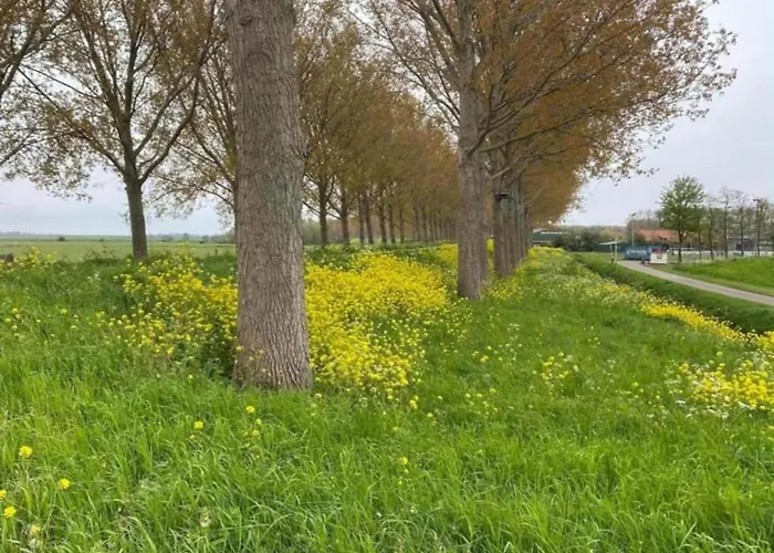 In South Holland With Private Jetty Simonshaven