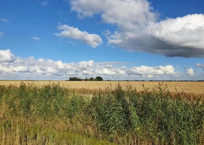 Vakantiehuis In South Holland With Private Jetty Simonshaven